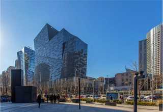 屯留区九华黄精茶