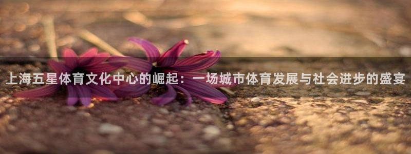 壹号电子娱乐app下载最新版