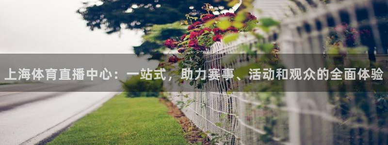 摩根娱乐强制退款流程详解