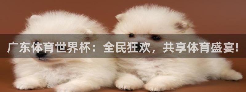 摩根娱乐平台官网登录入口