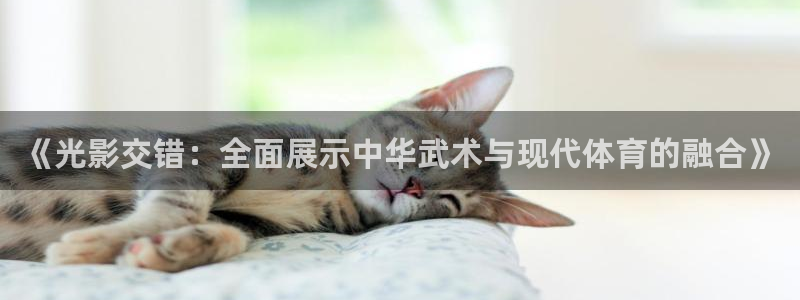 壹号大舞台有梦你就来