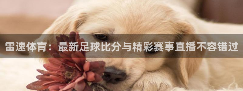 壹号app下载官方网站