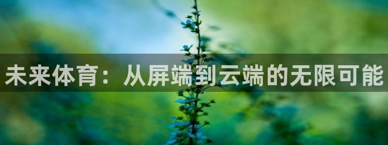 摩根娱乐app