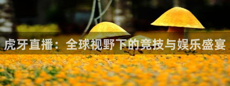 摩根娱乐平台官方入口
