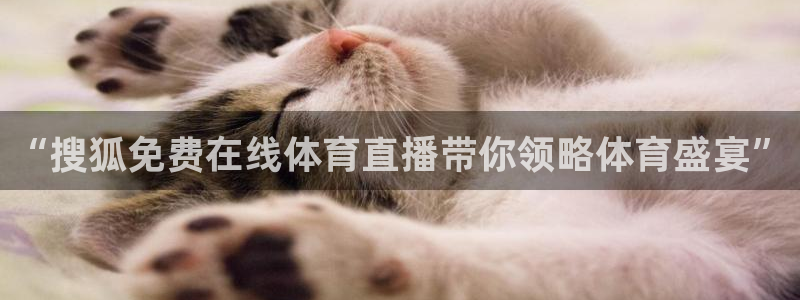 壹号平台下载