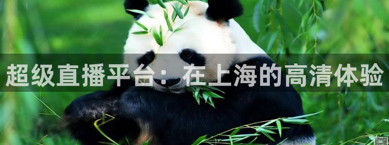 摩根娱乐分红代理计划