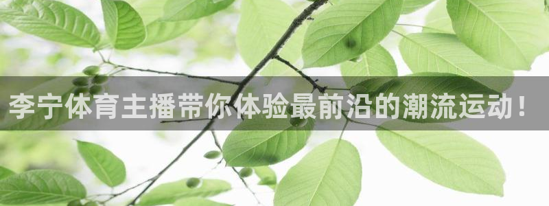 摩根娱乐注册入口与教程